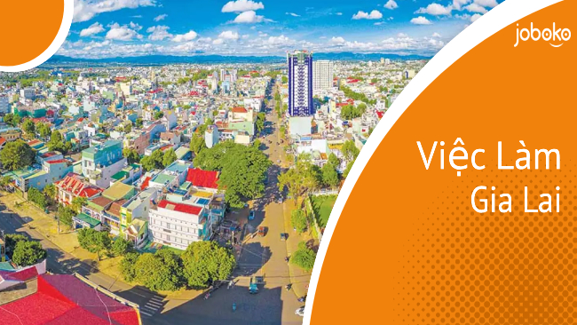 tim viec lam Gia Lai