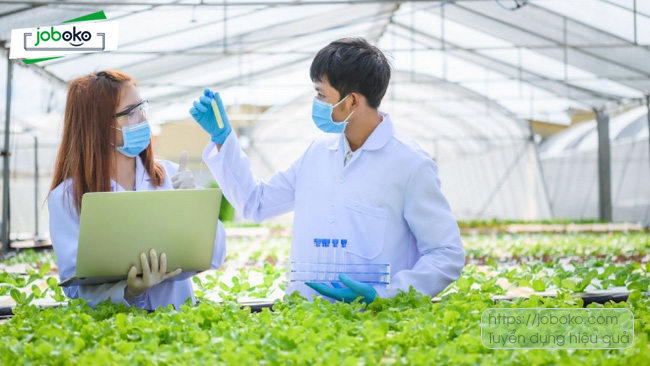 hoc ky thuat thuc pham ra lam gi 2