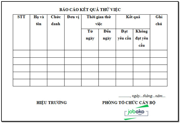 mau bao cao ket qua thu viec 5