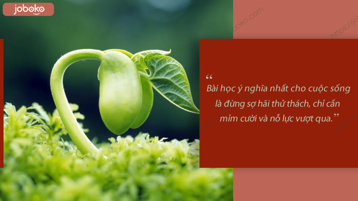 nhung cau noi hay ve cuoc song tinh than 2