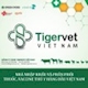 TUYỂN DỤNG GẤP KẾ TOÁN THUẾ tại Hà Nội - Tigervet Việt Nam