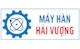 Công ty TNHH Hải Vượng