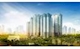 Công Ty Bất Động Sản SP Land