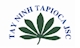 TAY NINH TAPIOCA JSC (MỚI)