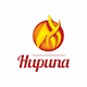Công Ty Hupuna Group Tuyển Dụng Nhân Viên Content Web,