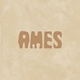 Công Ty AMES Việt Nam