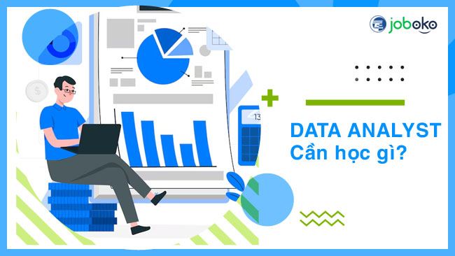 data analyst can hoc gi