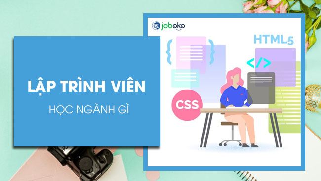 lap trinh vien hoc nganh gi