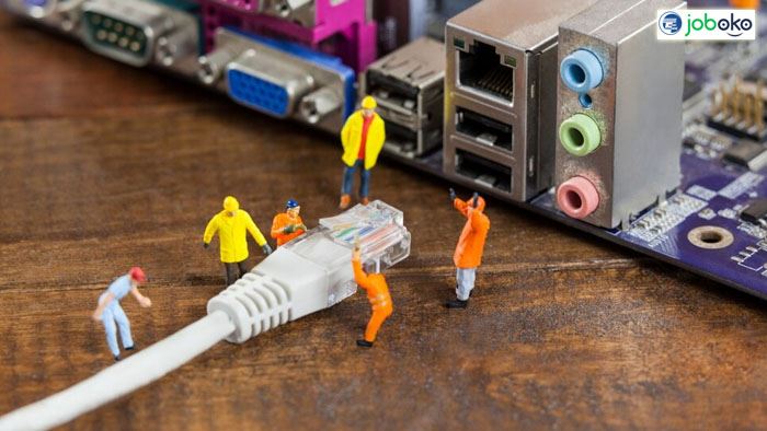 nganh mang may tinh va truyen thong du lieu ra lam gi